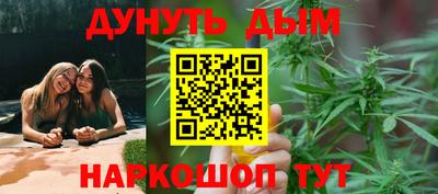 сатива Сланцы