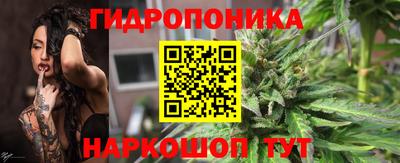 сатива Сланцы