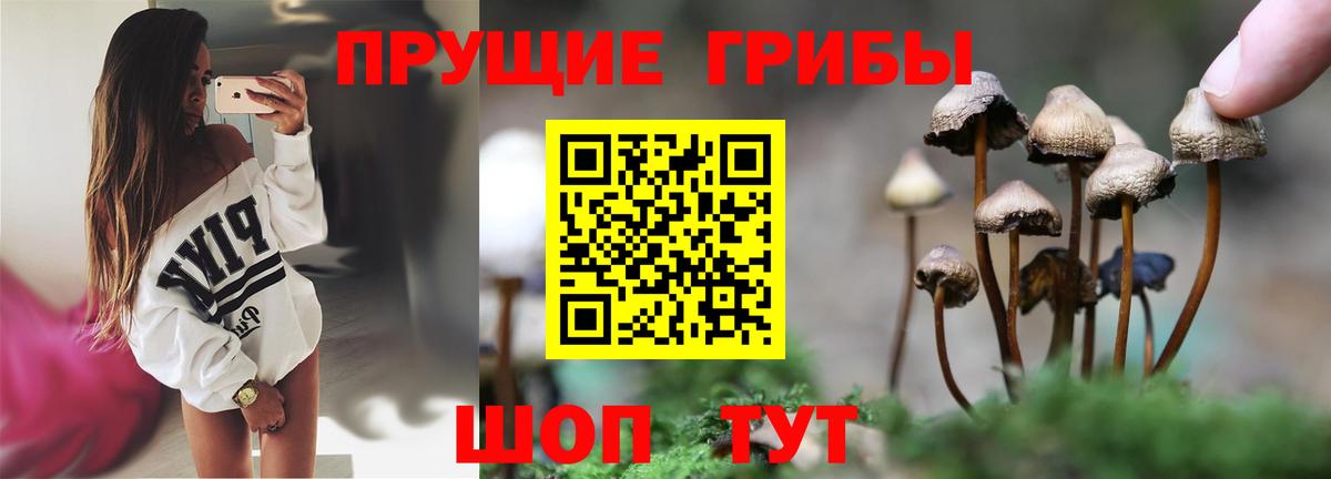 Псилоцибиновые грибы ЛСД Сегежа